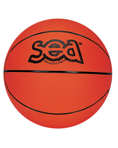 Ballon de basket SEA futur Champ