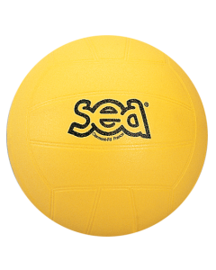 Ballon de volley initiation SEA