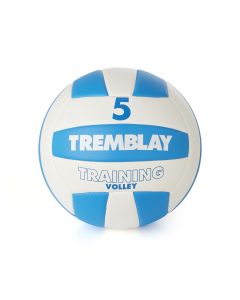 Ballon de Volleyball TRAINING VOLLEY Taille 5
