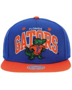 Casquette NCAA Florida Gators Mitchell & Ness