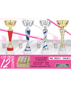 Lot de 12 coupes multisports pour tournoi