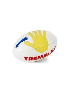 Ballon Rugby pédagogique SCHOOL RUGBY - taille 4